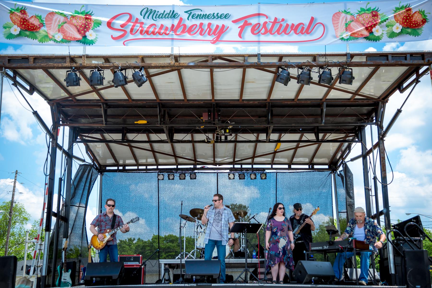 5 Reasons to Love the Middle Tennessee Strawberry Festival Visit Sumner