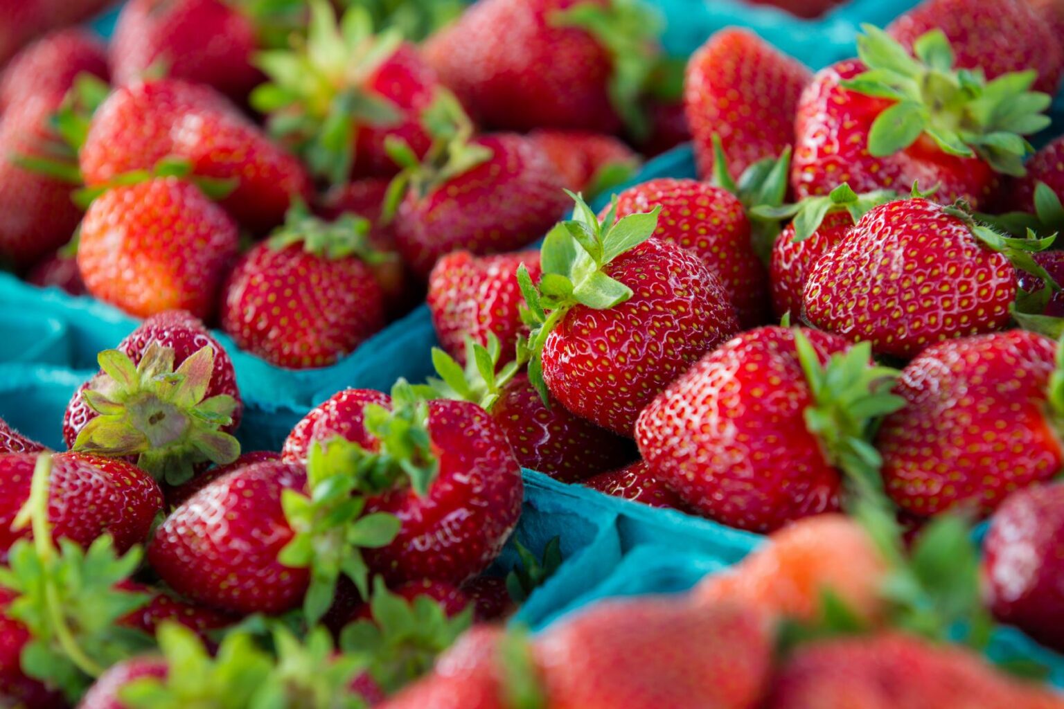 5 Reasons to Love the Middle Tennessee Strawberry Festival Visit Sumner