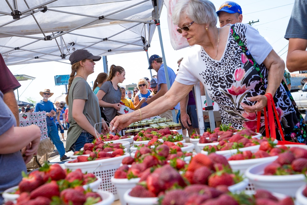 Strawberry Festival 2024 Dayton Tn Paola Beatrisa