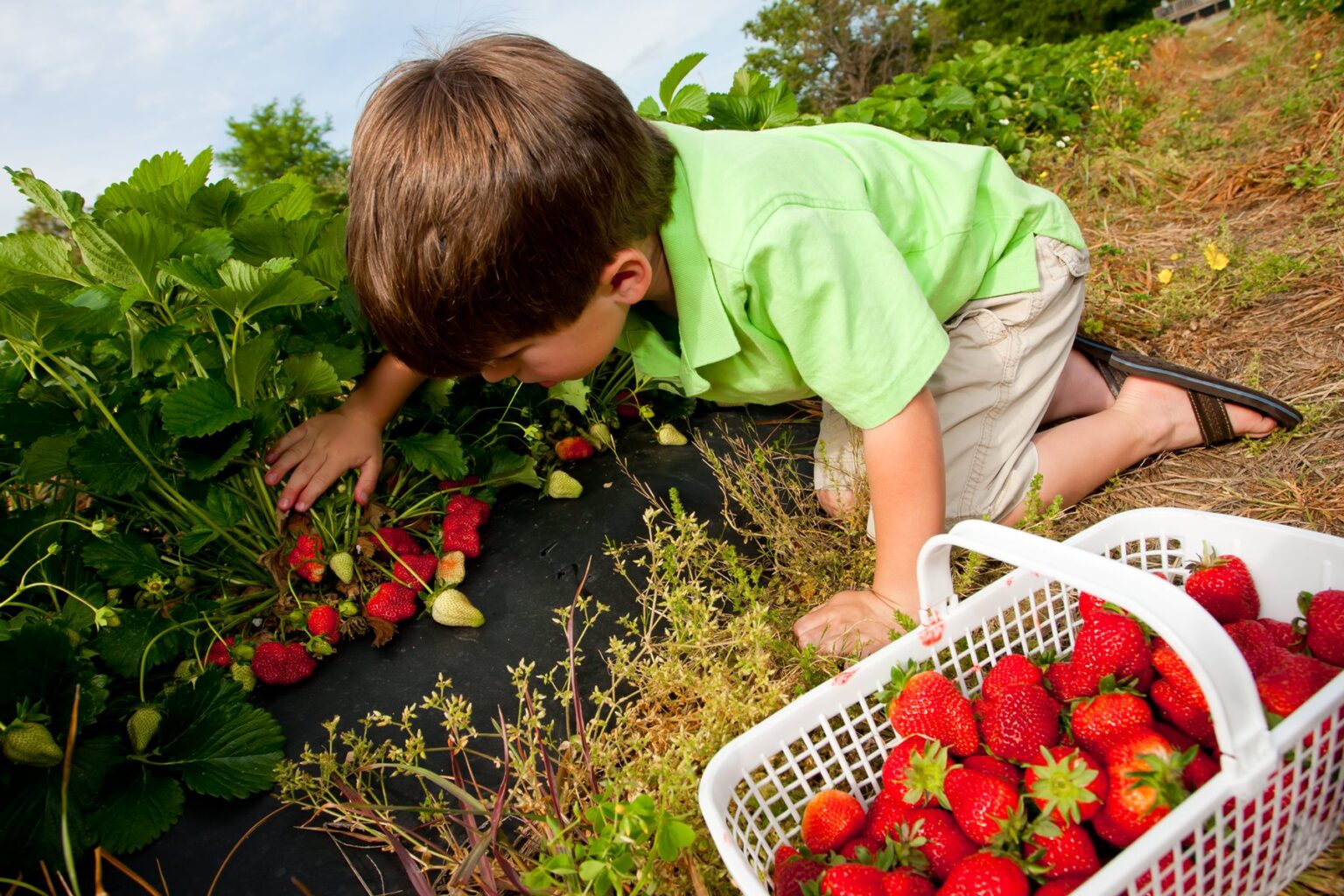 Weather Sumner County Tourism