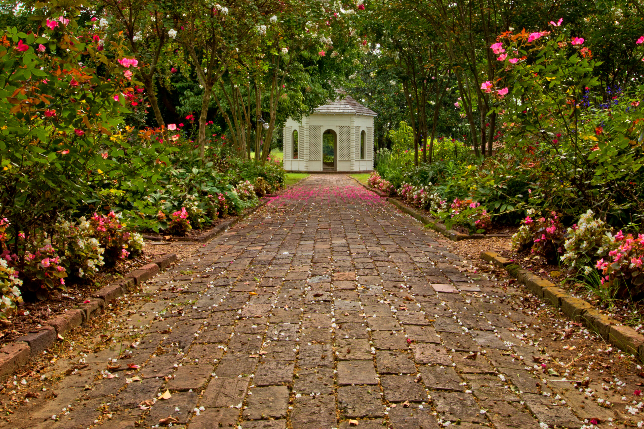 Castalian Springs Visit Sumner