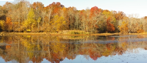 Fall Foliage at Bledsoe Creek