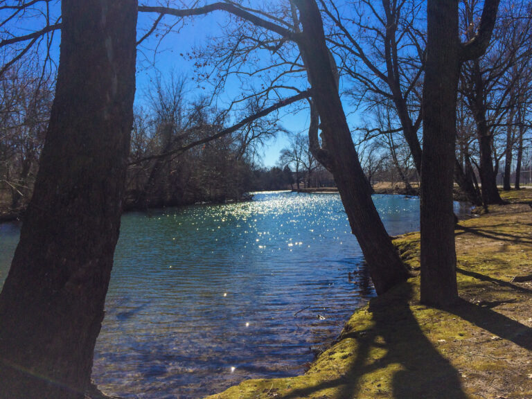 Drakes Creek at Drakes Creek Park